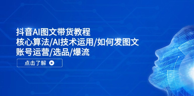 抖音AI图文带货教程：核心算法/AI技术运用/如何发图文/账号运营/选品/爆流-快赚