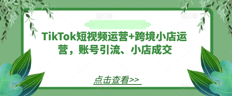 TikTok短视频运营+跨境小店运营，账号引流、小店成交-快赚