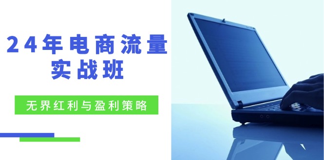 24年电商流量实战班：无界 红利与盈利策略，终极提升/关键词优化/精准…-快赚