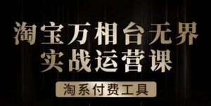 沧海·淘系万相台无界实战运营课，万相台无界实操全案例解析-快赚