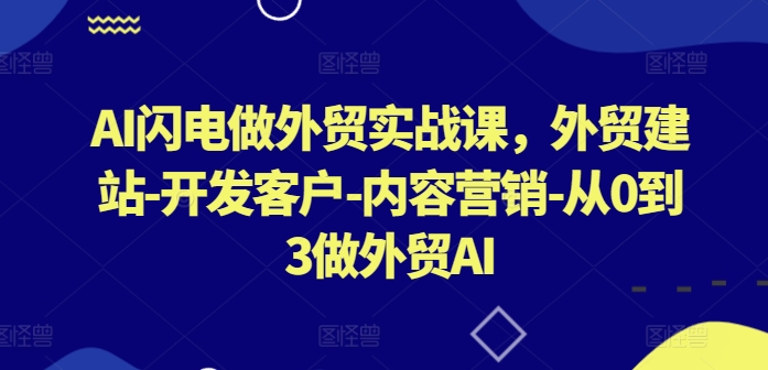 AI闪电做外贸实战课，​外贸建站-开发客户-内容营销-从0到3做外贸AI(更新)-快赚