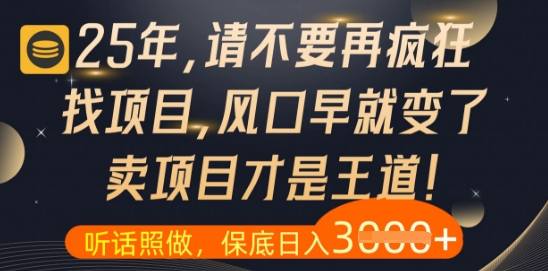 什么？25年你还在疯狂找项目做，醒醒吧，看完这些你全都懂了【揭秘】-快赚