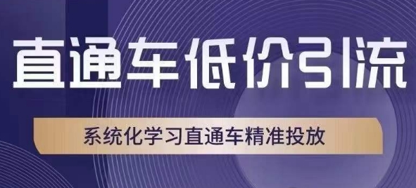 直通车低价引流课，系统化学习直通车精准投放-快赚