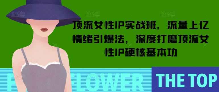 顶流女性IP实战班，流量上亿情绪引爆法，深度打磨顶流女性IP硬核基本功-快赚
