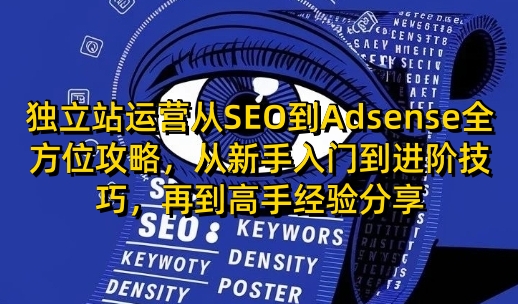 独立站运营从SEO到Adsense全方位攻略，从新手入门到进阶技巧，再到高手经验分享-快赚