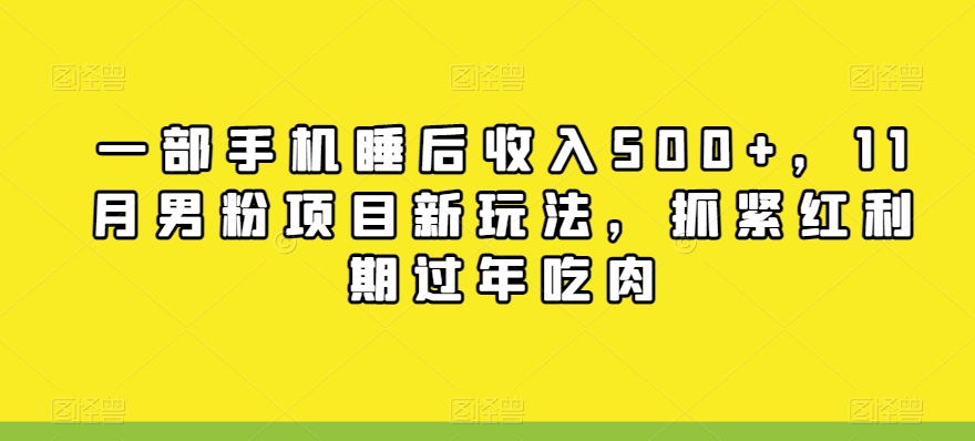 一部手机睡后收入500+，11月男粉项目新玩法，抓紧红利期过年吃肉-快赚