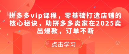拼多多vip课程，零基础打造店铺的核心秘诀，助拼多多卖家在2025卖出爆款，订单不断-快赚