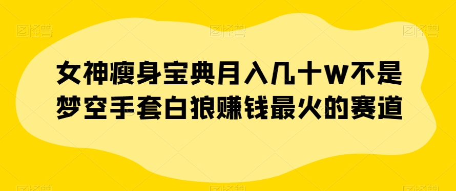女神瘦身宝典月入几十W不是梦空手套白狼赚钱最火的赛道【揭秘】-快赚