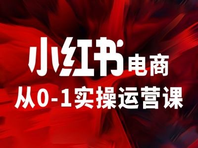 小红书电商从0-1实操运营课，让你从小白到精英-快赚