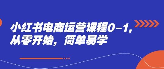 小红书电商运营课程0-1，从零开始，简单易学-快赚