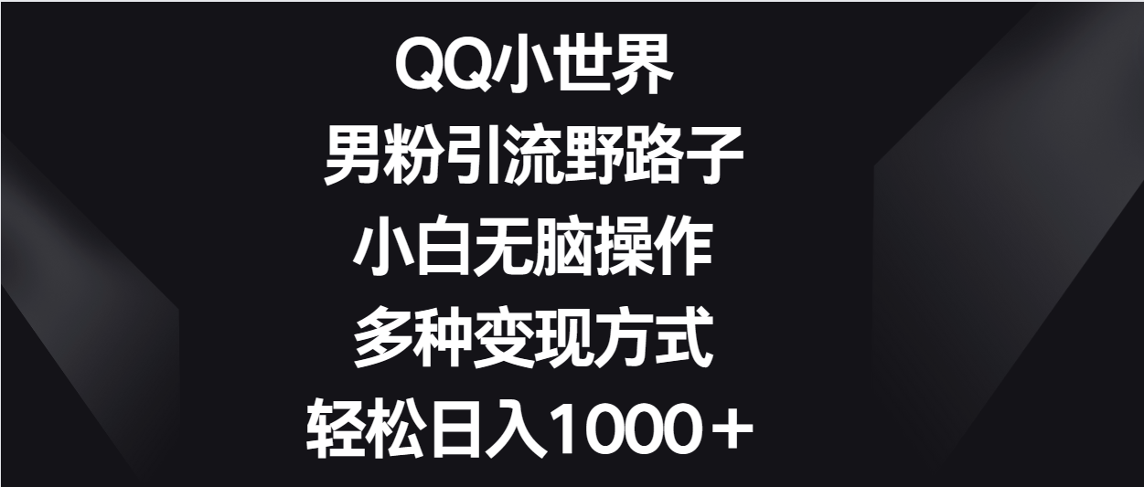 QQ小世界男粉引流野路子，小白无脑操作，多种变现方式轻松日入1000＋-快赚