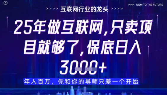 什么！25年你还在找项目做？风口早就变了，卖项目才是稳挣不赔【揭秘】-快赚