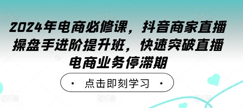 2024年电商必修课，抖音商家直播操盘手进阶提升班，快速突破直播电商业务停滞期-快赚