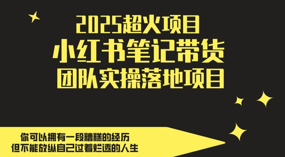 2025超火项目，副业最佳选择，小红书笔记带货团队实操落地项目，，轻松日入5张-快赚