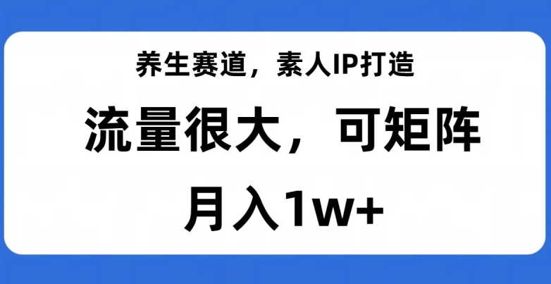 养生赛道，素人IP打造，流量很大，可矩阵，月入1w+【揭秘】-快赚