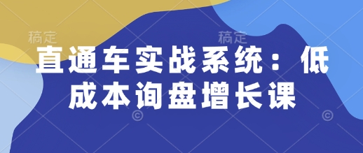 直通车实战系统：低成本询盘增长课，让个人通过技能实现升职加薪，让企业低成本获客，订单源源不断-快赚