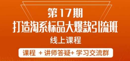 南掌柜-第17期打造淘系标品大爆款，5天线上课-快赚