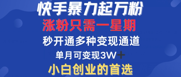 快手暴力起万粉，涨粉只需一星期，多种变现模式，直接秒开万合，单月变现过W【揭秘】-快赚