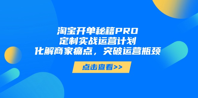 淘宝开单秘籍PRO，定制实战运营计划，化解商家痛点，突破运营瓶颈-快赚