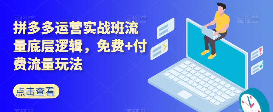 拼多多运营实战班流量底层逻辑，免费+付费流量玩法-快赚