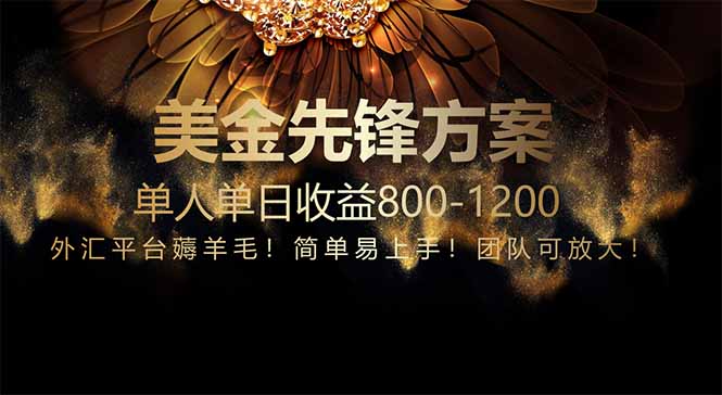 免费技术！小众赛道！一年布局抵三年努力，每日800+-快赚