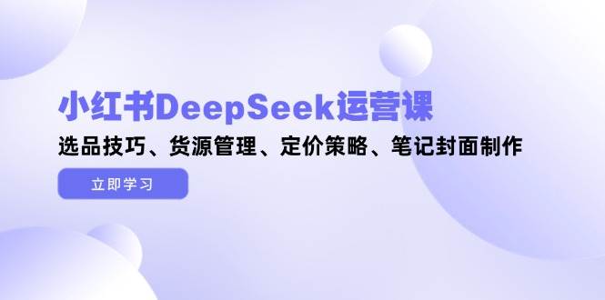 小红书DeepSeek运营课，选品技巧、货源管理、定价策略、笔记封面制作-快赚