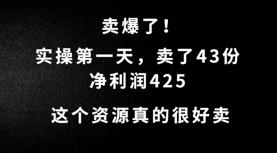 这个资源，需求很大，实操第一天卖了43份，净利润425【揭秘】-快赚