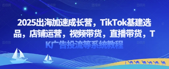 2025出海加速成长营，TikTok基建选品，店铺运营，视频带货，直播带货，TK广告投流等系统教程-快赚
