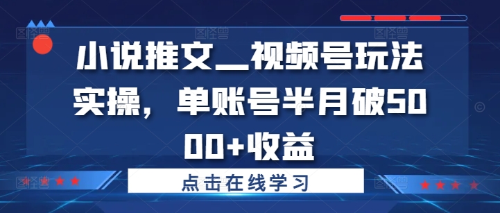 小说推文—视频号玩法实操，单账号半月破5000+收益-快赚