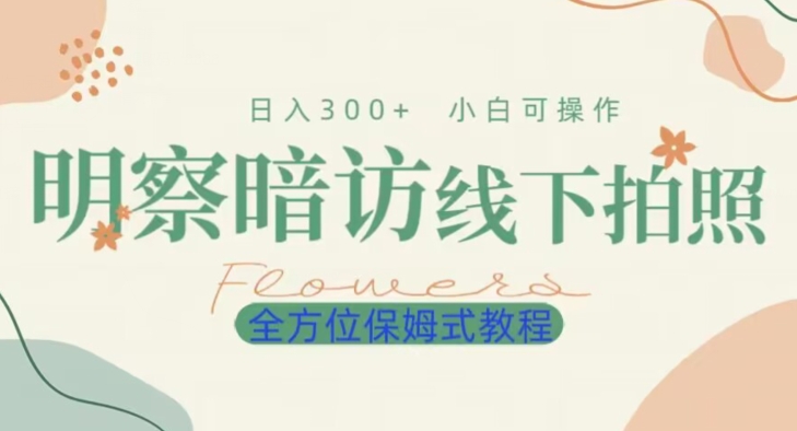 明拍暗拍项目0成本投入日入300+小白可操作保姆式全方位教程-快赚