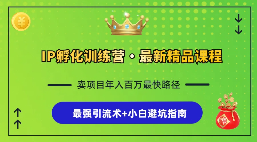 IP孵化训练营，知识付费全流程+最强引流术+小白避坑指南-快赚