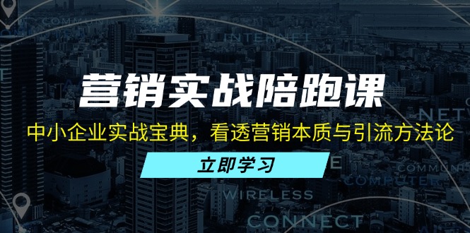 营销实战陪跑课：中小企业实战宝典，看透营销本质与引流方法论-快赚