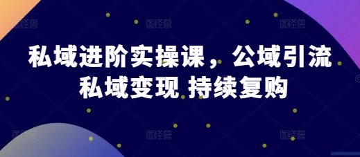 私域进阶实操课，公域引流 私域变现 持续复购-快赚