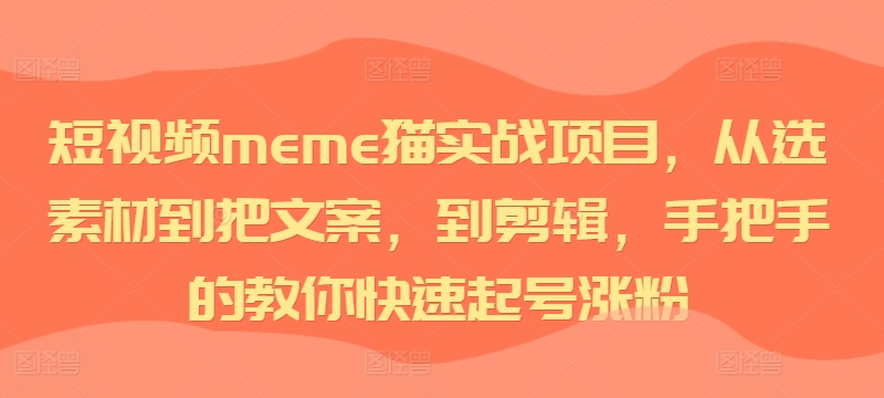 短视频meme猫实战项目，从选素材到把文案，到剪辑，手把手的教你快速起号涨粉-快赚