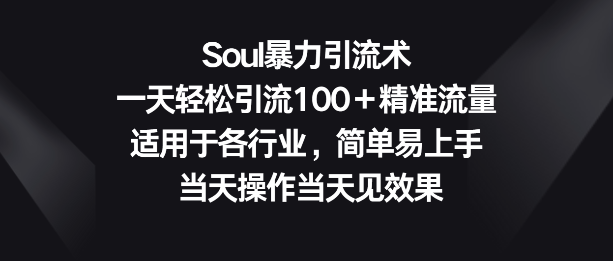 Soul暴力引流术，一天轻松引流100＋精准流量，适用于各行业，简单易上手！-快赚