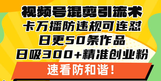 视频号混剪引流技术，500万播放引流17000创业粉，操作简单当天学会-快赚