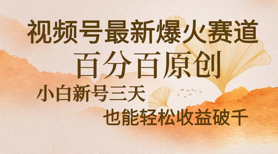视频号最新爆火赛道，中老年粉深信不疑，百分百原创，新号三天收益轻松…-快赚