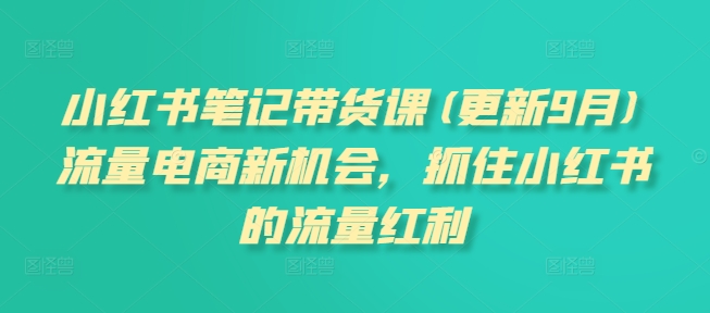 小红书笔记带货课(更新9月)流量电商新机会，抓住小红书的流量红利-快赚
