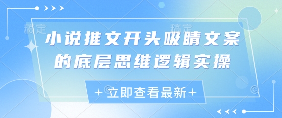 小说推文开头吸睛文案的底层思维逻辑实操-快赚