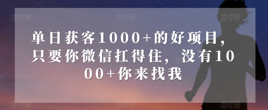 单日获客1000+的好项目，只要你微信扛得住，没有1000+你来找我【揭秘】-快赚
