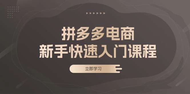 拼多多电商新手快速入门课程：涵盖基础、实战与选款，助力小白轻松上手-快赚