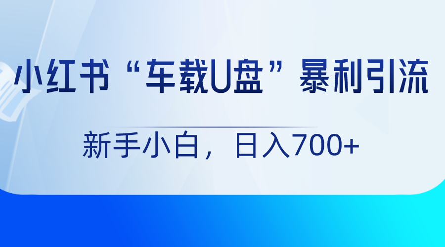 小红书“车载U盘”项目，暴利引流，新手小白轻松日入700+-快赚