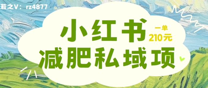 小红书减肥粉，私域变现项目，一单就达210元，小白也能轻松上手【揭秘】-快赚