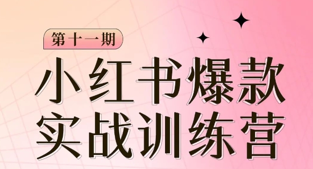 小红书博主爆款训练营第11期，手把手教你从0-1做小红书，从定位到起号到变现-快赚
