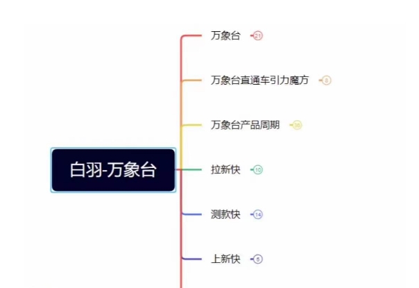 白羽·直引万搜索全篇，从0-1，多个类目实操经验总结付费-快赚