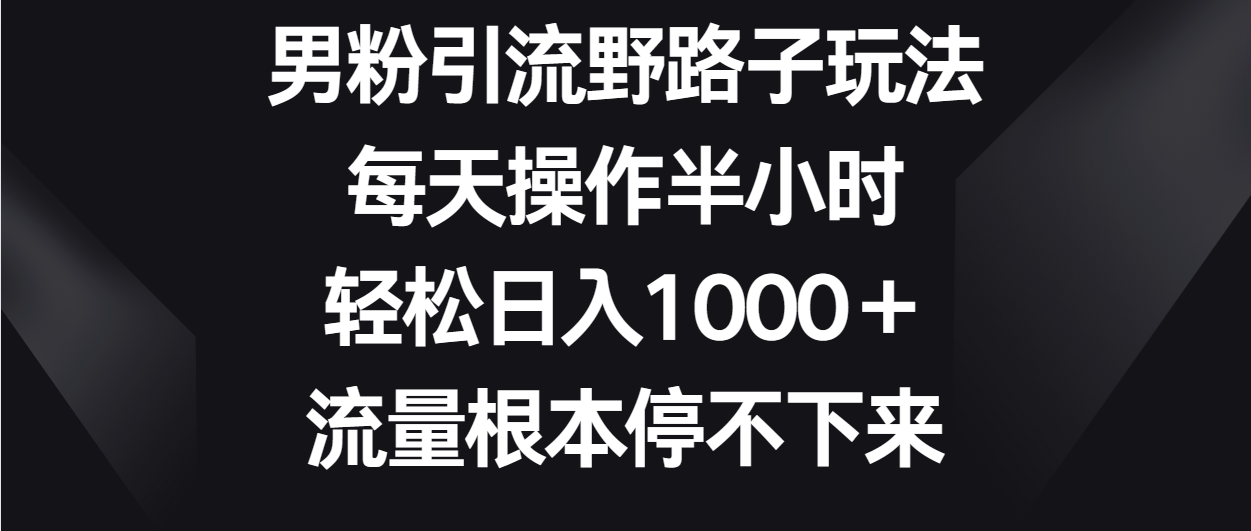 男粉引流野路子玩法，每天操作半小时轻松日入1000＋，流量根本停不下来-快赚