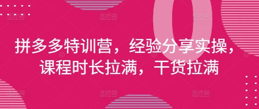 拼多多特训营，经验分享实操，课程时长拉满，干货拉满(更新25年4月)-快赚