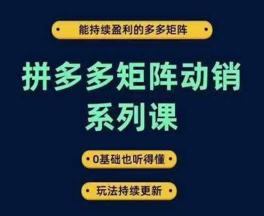 拼多多矩阵动销系列课，能持续盈利的多多矩阵，0基础也听得懂，玩法持续更新-快赚
