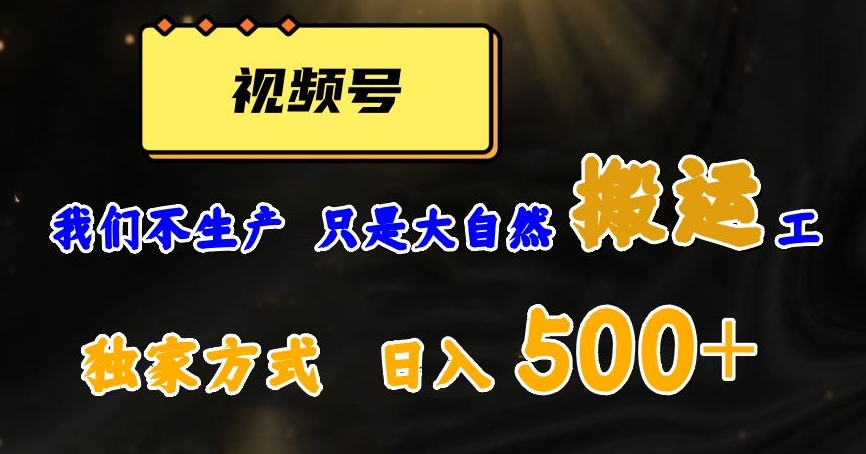 视频号轻松搬运日赚500+，一个1分钟1条原创视频【揭秘】-快赚