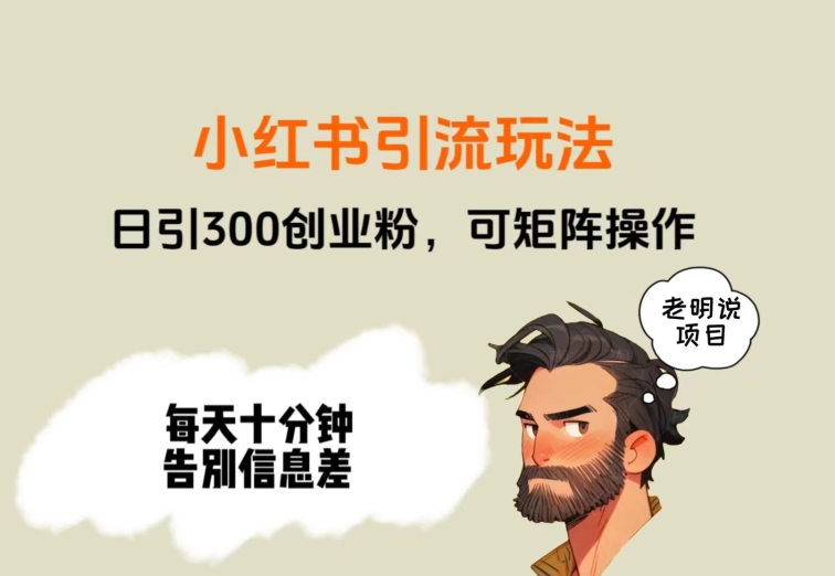 靠小红书视频日印300粉，两分钟一个视频轻松矩阵-快赚